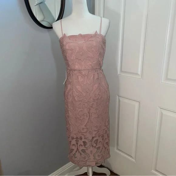 Bardot | Dresses | Nwt Bardot Lina Lace Dress Pink Rose | Poshmark Bardot | Dresses | Nwt Bardot Lina Lace Dress Pink Rose | Poshmark
